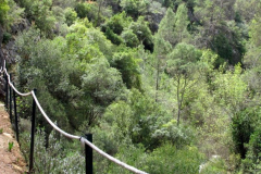 10984634_1429579310694713_2984378308695248898_n-1