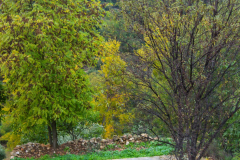 11-dorrmitorio-3-comedor-exterior-scaled