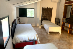 20220712_131337669_iOS-scaled