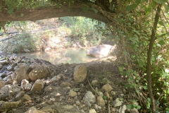 20220713_123826090_iOS-scaled